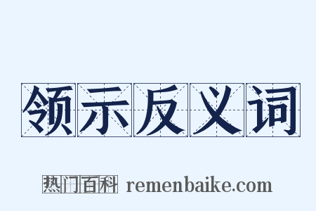 领示反义词是什么意思的图片
